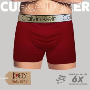 8710 - CUECA BOXER