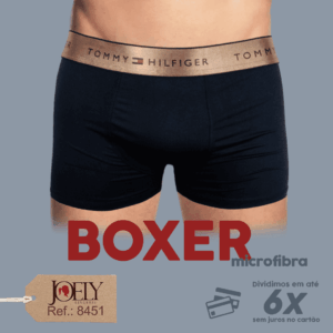 8451 - CUECA BOXER