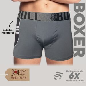 9137 - CUECA BOXER